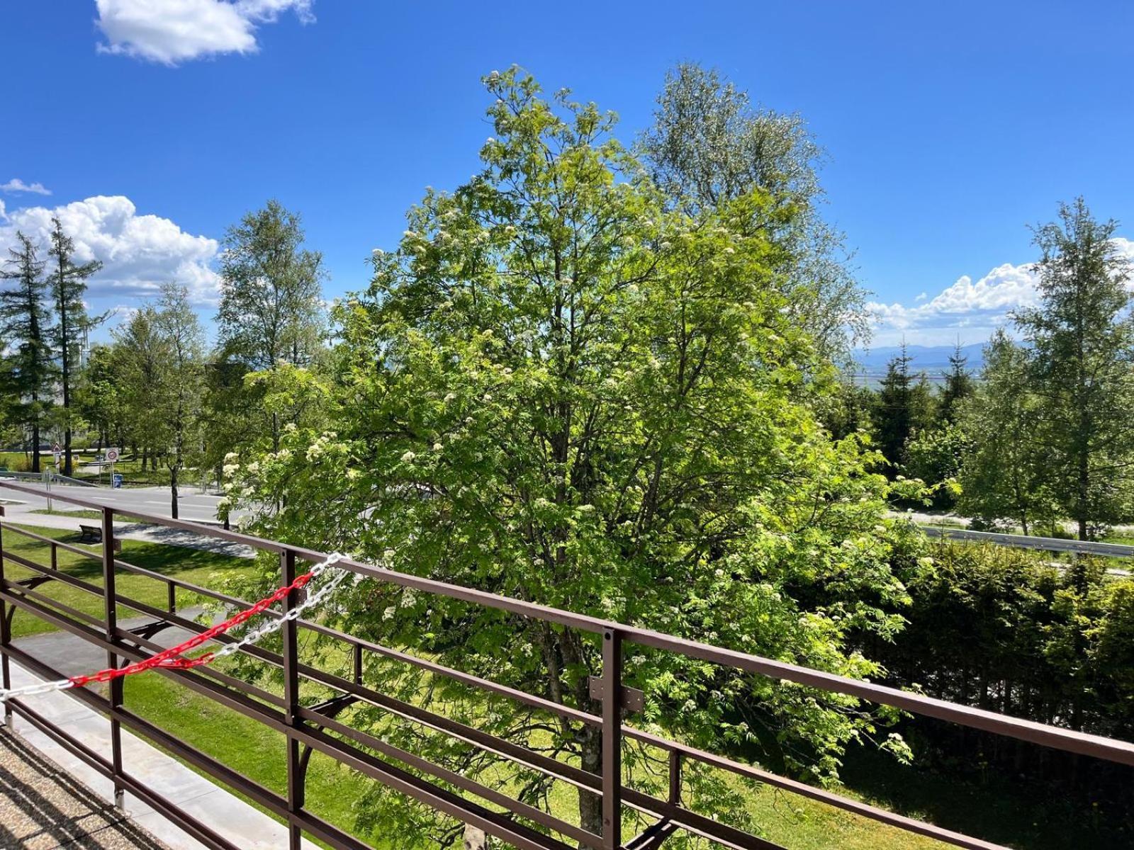 Penzion Villa Gerlach Vysoké Tatry Esterno foto